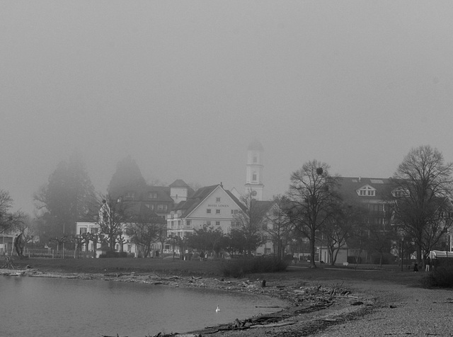 Langenargen im Nebel