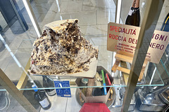 Ancona 2024 – La roccia del Conero