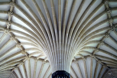 Chapter House of Wells Cathedral 4