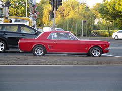 Mustang1116 1377