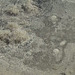 Sandwirbel im Hintersteiner See