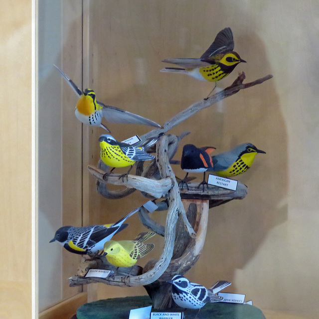 Part of donated collection of bird carvings