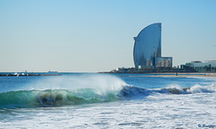 a la platja de Barcelona (© Buelipix)