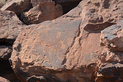 Namibia, Ancient Rock Carvings in the Twyfelfontein Valley