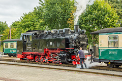 99 1781-6 (DR-Baureihe 99.77–79) der RüBB beim Rangieren