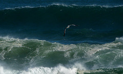 Swooping between waves