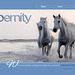 ipernity homepage with #1458