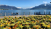 Lake Geneva at Vevey.