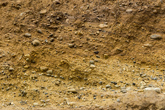 Benacre Cliffs cross-bedded gravels 1