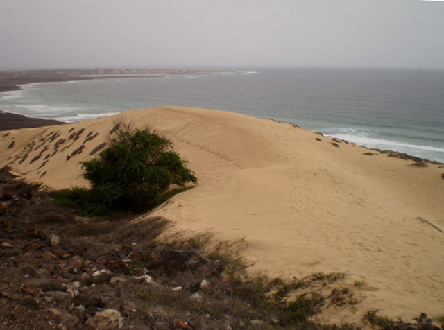 Dune on volcanic soil.