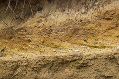 Benacre Cliffs cross-bedded gravels 2