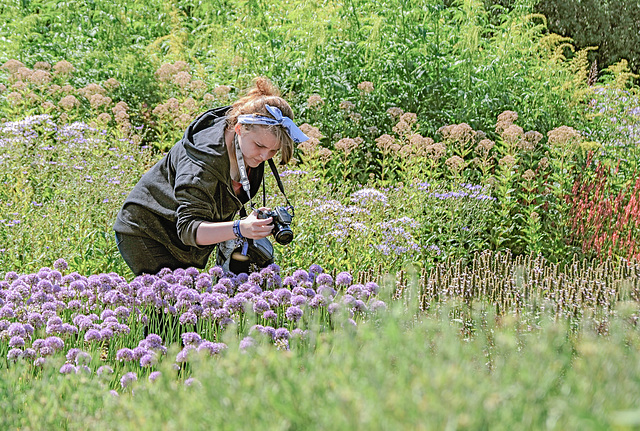 Photographer in the Oudolf Field