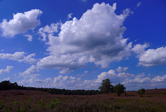 Kuppendorfer Heide