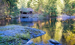 Die Hütte am Teich :))  The hut by the pond :))  La cabane au bord de l'étang :))