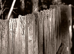HFF!   a fence is a fence is a fence.....