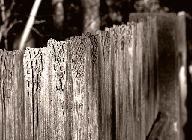 HFF!   a fence is a fence is a fence.....