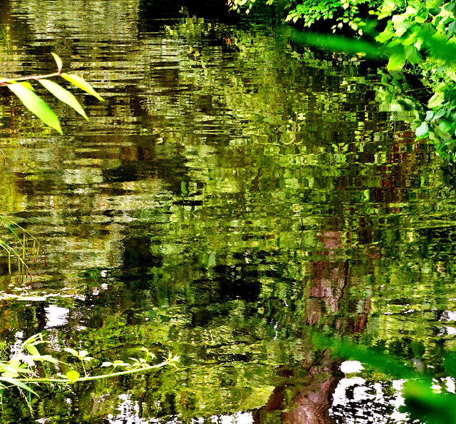 Glorious Green Reflected