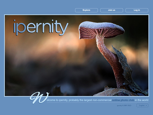 ipernity homepage with #1305