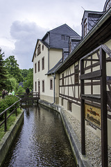 (145/365) Mühlgraben an der Wetzelmühle Niederfrohna