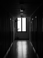 March 17: dark corridor
