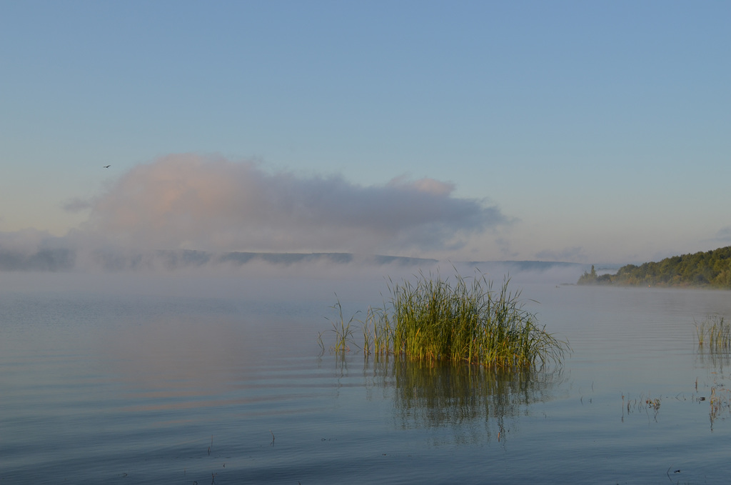 Бакотский залив, Утренний туман / The Bay of Bakota, Morning Fog