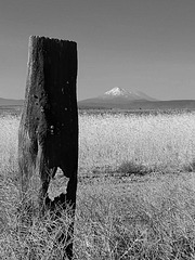 Post with Mt. Shasta
