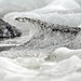 Ice shapes, Vatnajökull , Jökulsárlón
