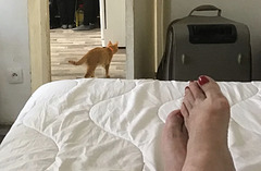 Oscar et ses pieds