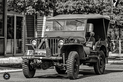 Willys MB or Ford GPW