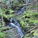 A small stream in Fundy National Park