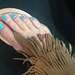Marcella Toes