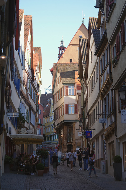 Tübingen View