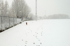 Pim en Fabio sneeuw