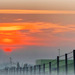 foggy sunset fence