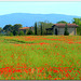 Tuscany - Summer Time