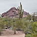Limestone Buttes – Desert Botanical Garden, Papago Park, Phoenix, Arizona
