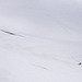 in den Schneefeldern beim Jungfraujoch (© Buelipix)