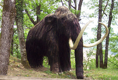Mammoth, Lasceaux