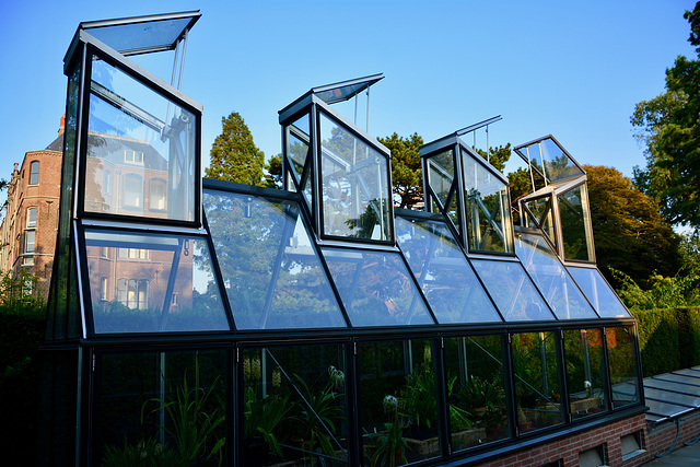 Hortus Botanicus 2018 – Greenhouse