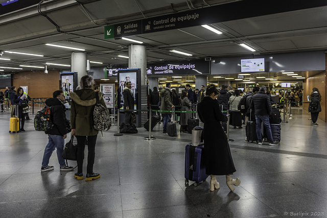 in der Estación de tren Madrid - Atocha  (© Buelipix)