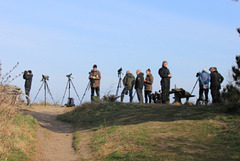 Photographers at Gilbjerg Head (Birders to some)