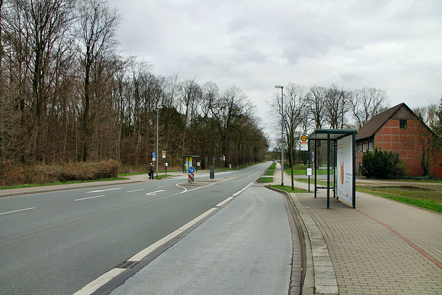 Brunnenstraße (Lünen-Lippholthausen) / 16.03.2019