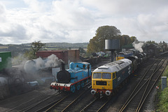 On Shed at Ropley (2) - 15 October 2019