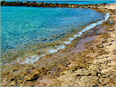 Sharm el Sheikh : Ras Mohammed - La barriera corallina