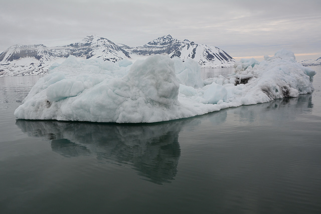 Svalbard, Hornsund-fjord, Floating Ice Floe