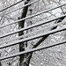 Lines of snow (Explored)