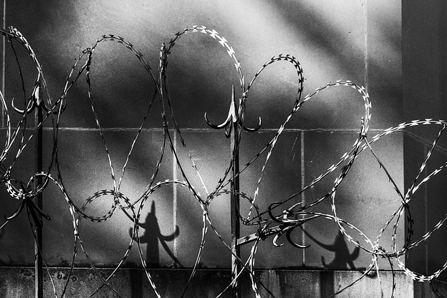 Razor wire hearts