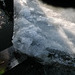 Unsere Eisscholle ,15 cm dick, wird unter Wasser weggeschoben