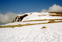 Looking back at the Summit Plato of Ben Nevis 10th May 1993