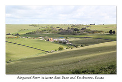 Ringwood Farm - East Dean - Sussex - 30.4.2015